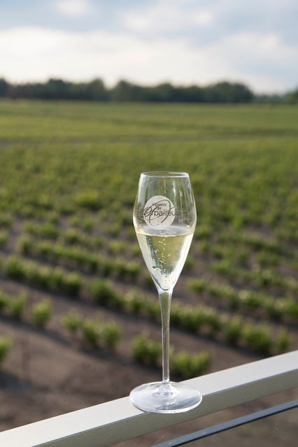 Vignoble de L'Orpailleur