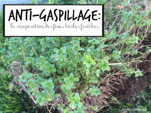 faire sécher les fines herbes Cinq Fourchettes