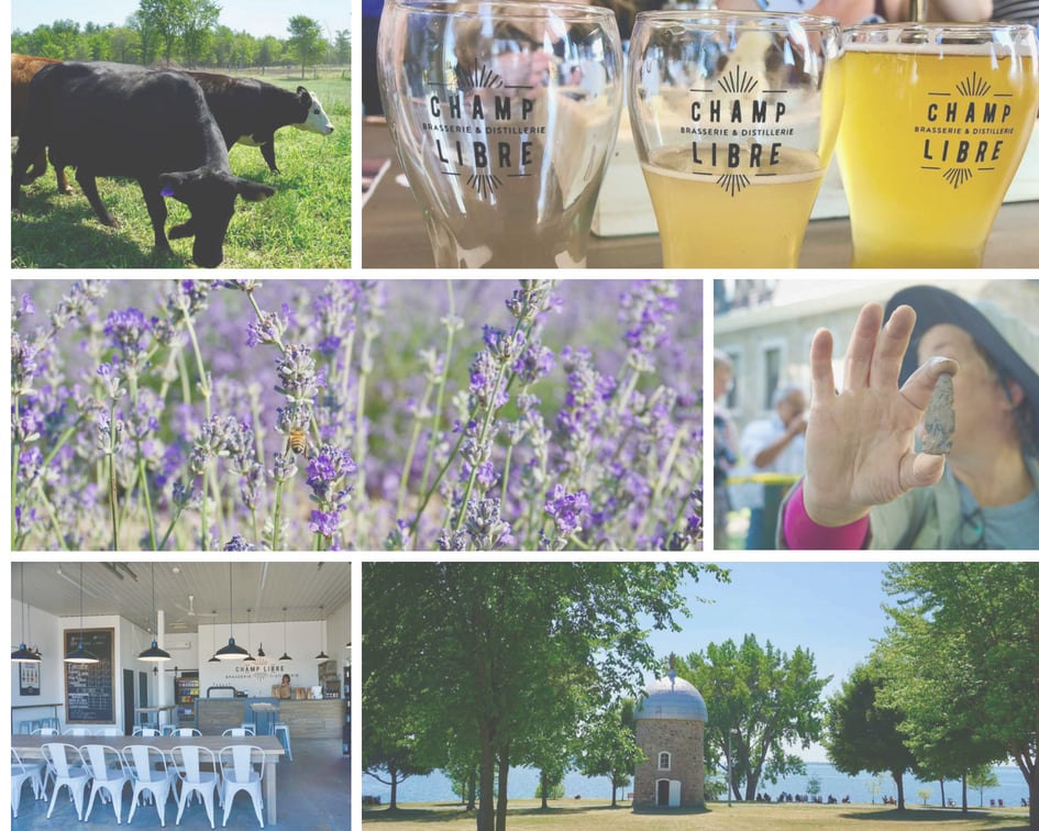 Le Circuit du Paysan : Découvrir la Montérégie à travers ses artisans locaux Cinq Fourchettes