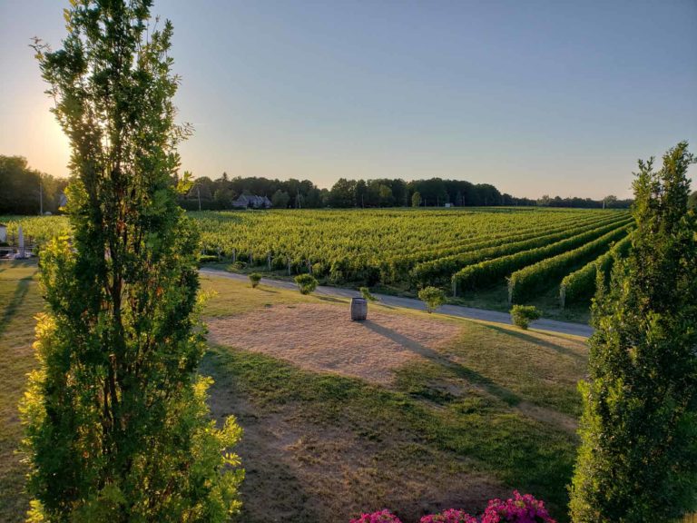 Soirée tapas au Vignoble Rivière du Chêne Cinq Fourchettes