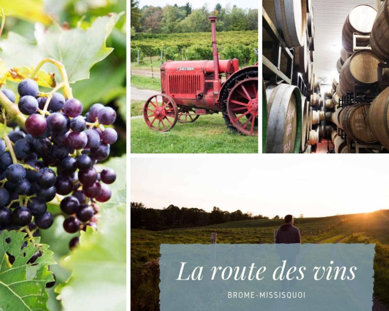 À la découverte de la route des vins Brome-Missisquoi ! Cinq Fourchettes