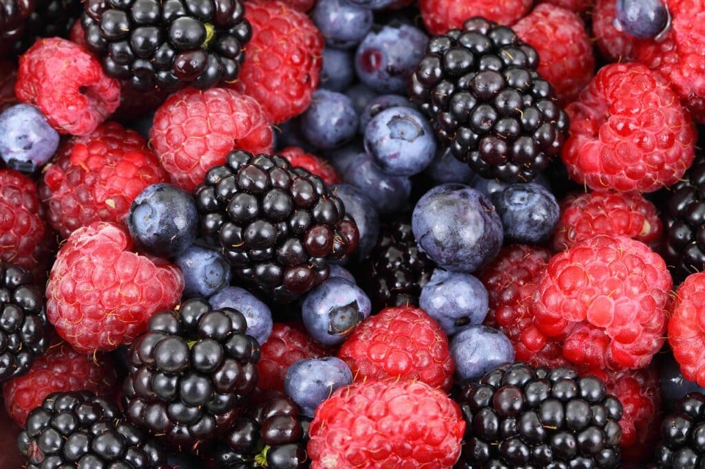 comment gérer son réfrigérateur pour éviter de perdre les aliments