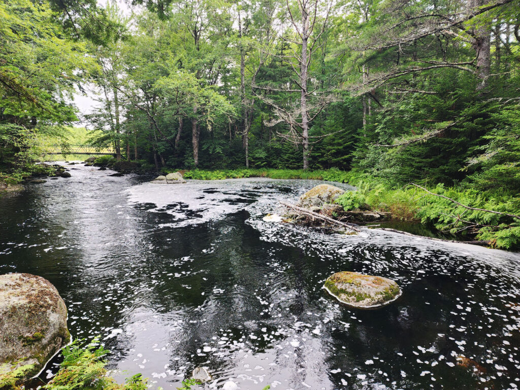 une cocotte dans les bois récit personnel Trout Point Lodge Nova Scotia Nouvelle Écosse Forest Bathing Cinq Fourchettes