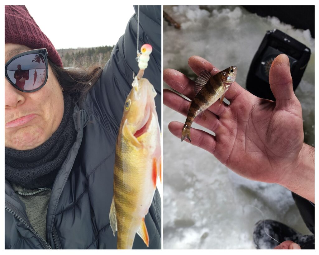 peche sur glace Nouveau Brunswick Cinq Fourchettes